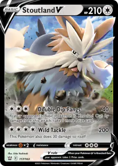 Stoutland V Rare Holo V card from Battle Styles