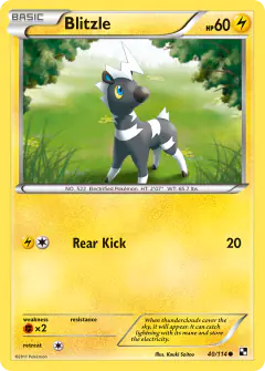 Blitzle Common card from Black & White Base
