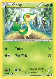 Snivy Common card from Black & White Base