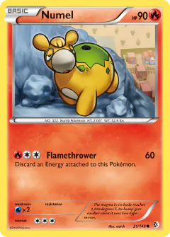 Numel Common card from Boundaries Crossed