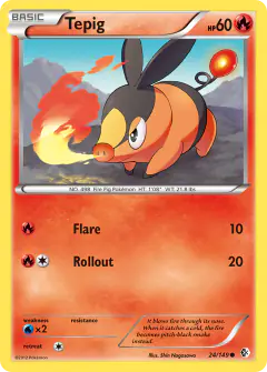 Tepig Common card from Boundaries Crossed