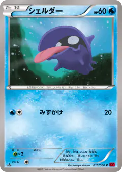 Shellder Common card from Collection Y