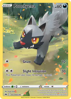 Poochyena Trainer Gallery Rare Holo card from Crown Zenith