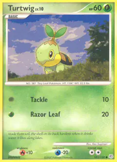 Turtwig Common card from Diamond & Pearl Base