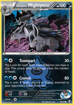 Team Aqua's Mightyena Common card from Double Crisis