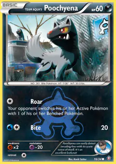 Team Aqua's Poochyena Common card from Double Crisis