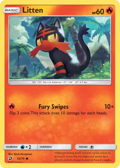 Litten Common card from Dragon Majesty