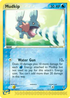 Mudkip Common card from Dragon