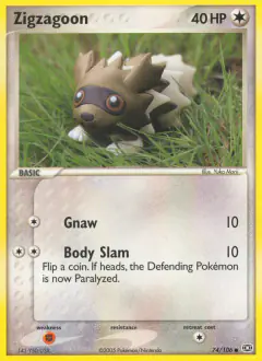 Zigzagoon Common card from Emerald
