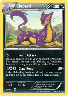 Liepard Rare card from Emerging Powers