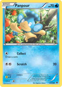 Panpour Common card from Emerging Powers