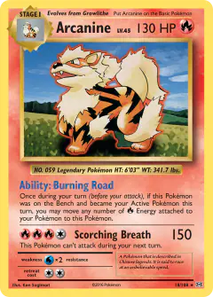 Arcanine Rare card from Evolutions