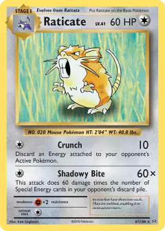 Raticate Rare card from Evolutions