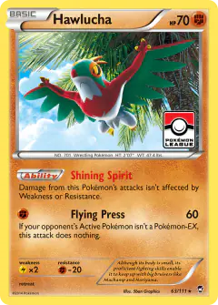 Hawlucha Rare Holo card from Furious Fists