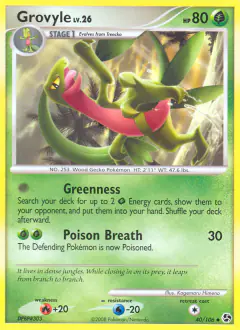 Grovyle Common card from Great Encounters