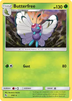 Butterfree Rare card from Hidden Fates