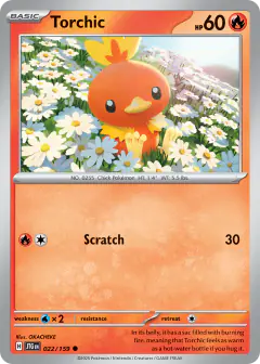 Torchic Common card from Journey Together