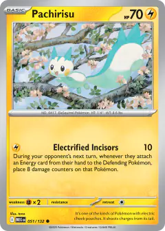 Pachirisu Common card from Mega Evolution Base