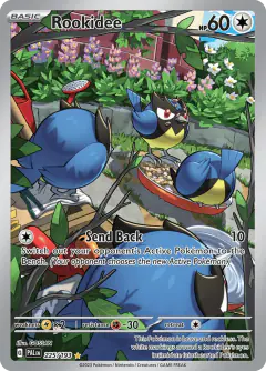 Rookidee Illustration Rare card from Paldea Evolved