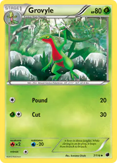 Grovyle Uncommon card from Plasma Freeze