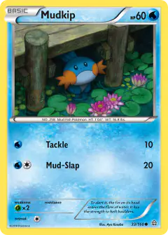 Mudkip Common card from Primal Clash