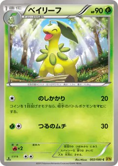 Bayleef Common card from Rage of the Broken Heavens
