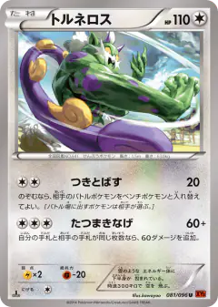 Tornadus Uncommon card from Rising Fist