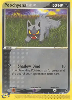 Poochyena Common card from Ruby & Sapphire