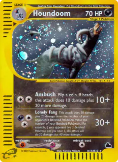 Houndoom Rare Holo card from Skyridge