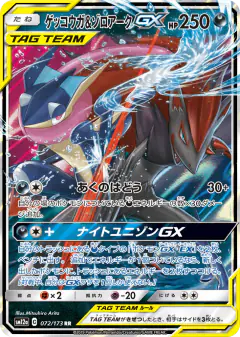 Greninja & Zoroark-GX Double Rare (RR) card from TAG TEAM GX: Tag All Stars