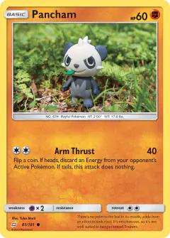 Pancham Common card from Team Up