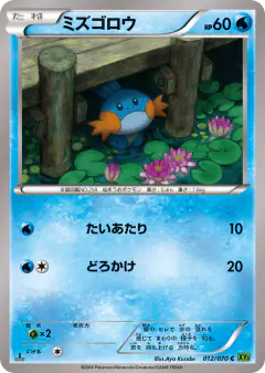 Mudkip Common card from Tidal Storm