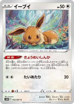 Eevee Common card from Time Gazer