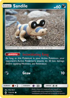 Sandile Common card from Unbroken Bonds
