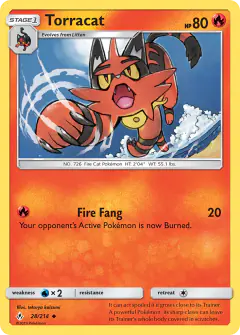 Torracat Uncommon card from Unbroken Bonds