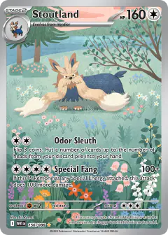 Stoutland Illustration Rare card from White Flare