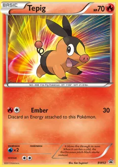 Tepig Promo card from BW Black Star Promos