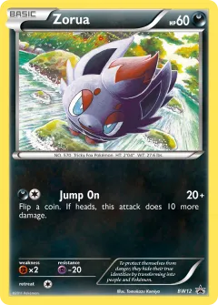 Zorua Promo card from BW Black Star Promos