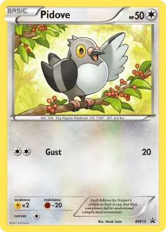 Pidove Promo card from BW Black Star Promos