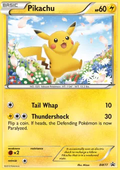 Pikachu Promo card from BW Black Star Promos