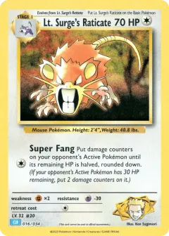 Lt. Surge's Raticate Promo and other card from Pokémon TCG Classic - Blastoise