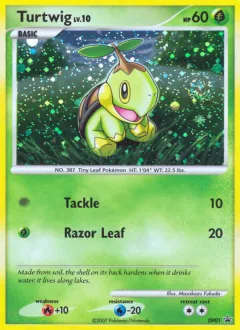 Turtwig Promo card from DP Black Star Promo