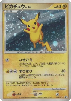 Pikachu Promo and other card from Diamond & Pearl Promos