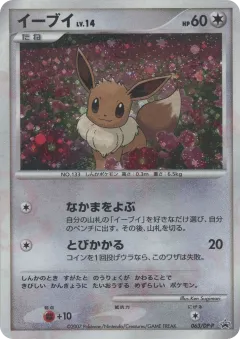 Eevee Promo and other card from Diamond & Pearl Promos