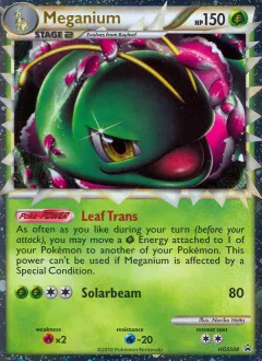 Meganium Promo card from HGSS Black Star Promos
