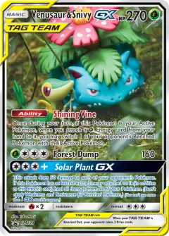 Venusaur & Snivy-GX Promo card from Sun & Moon Black Star Promos