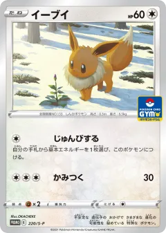 Eevee Promo card from Sword & Shield Promos