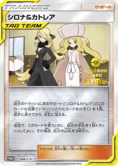 Cynthia & Caitlin Promo card from Sword & Shield Promos