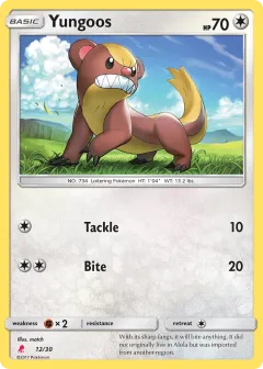 Yungoos Common card from SM Trainer Kit Lycanroc