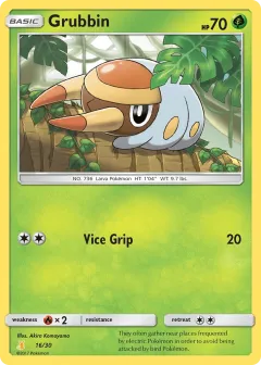 Grubbin Common card from SM Trainer Kit Alolan Raichu